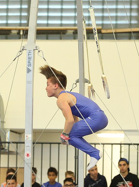 File:2019-05-25 Budapest Cup age group III all-around competition still rings (Martin Rulsch) 203.jpg