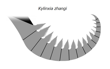 Kylinxia zhangi (frontalmost appendage) キリンシア・ザンギ（前端の付属肢）