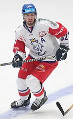 Thumbnail for Michael Špaček (ice hockey)