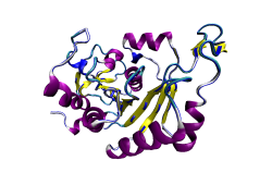 2ph1 pdb галерия нуклеотиден свързващ протеин-2 (MinD хомолог) .svg