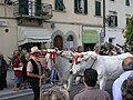 50th Chianti Wine Festival, Montespertoli (4398822608).jpg