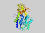 Thumbnail for 5'-nucleotidase