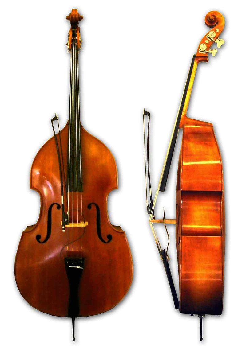 Double bass - Wikipedia