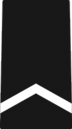 Armee JROTC private Rangabzeichen