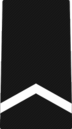 Armee JROTC private Rangabzeichen