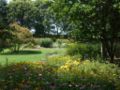 Thumbnail for Dawes Arboretum