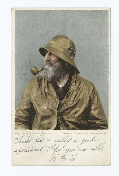 File:A Cape Ann Fisherman, Gloucester, Mass (NYPL b12647398-67905).tiff