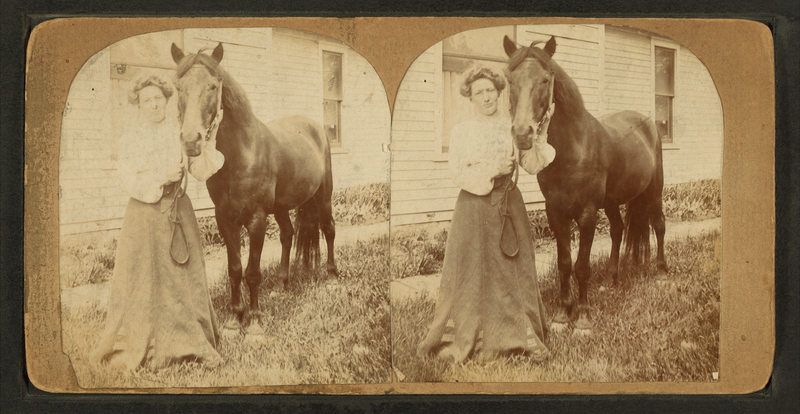 File:A woman (Mrs. C.A. Bush?) and her horse, from Robert N. Dennis collection of stereoscopic views.png