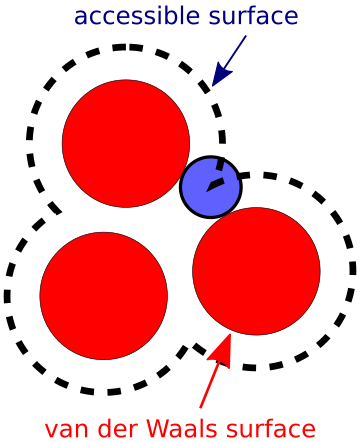 Accessible surface area