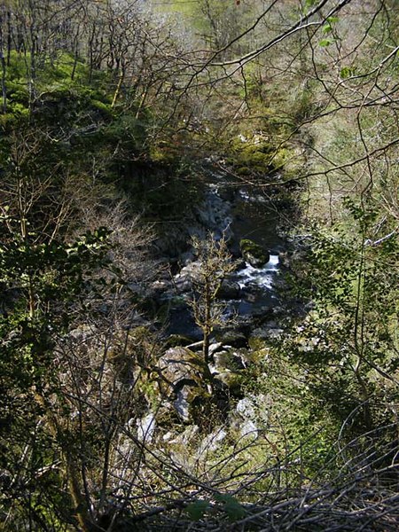 File:Afon Conwy - geograph.org.uk - 1373204.jpg