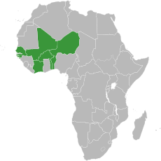 Africa-countries-UEMOA.svg