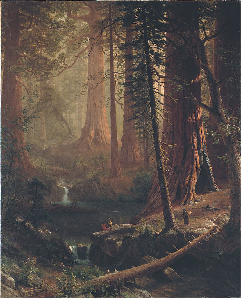 California landscapes Albert Bierstadt, Giant Redwood Trees of California, ca. 1874, Berkshire Museum, Pittsfield, MA, USA.