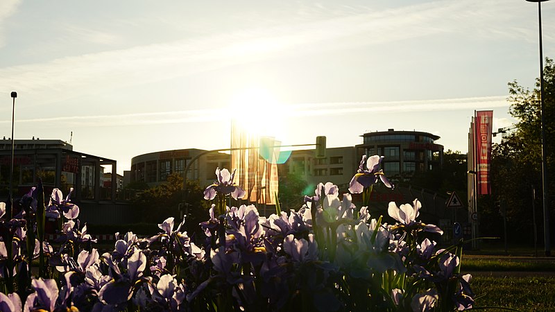 File:Allecentre Magdeburg.jpg