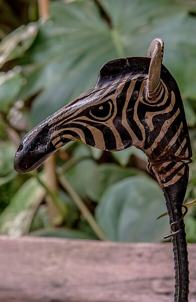 File:Angry Zebra (19466783265).jpg