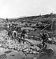 Gold miners at Anvil Creek, Nome, Alaska, dated: 1902