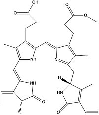 Аплисиовиолин Structure.jpg