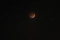 美国加利福尼亚州橙县塔斯廷的月全食，时间为07:40 UTC