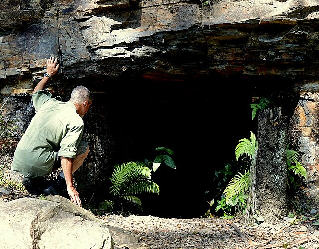 Asgard Swamp Coal Mine