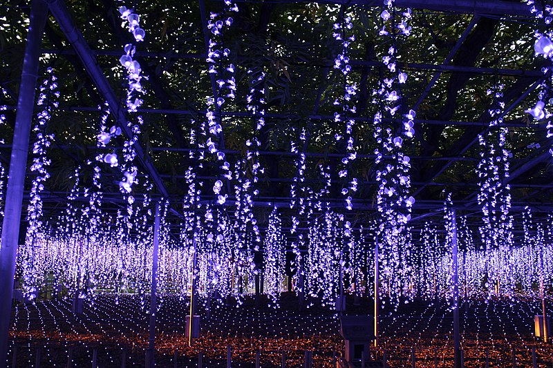 File:Ashikaga Flower Park 20221030-2.jpg