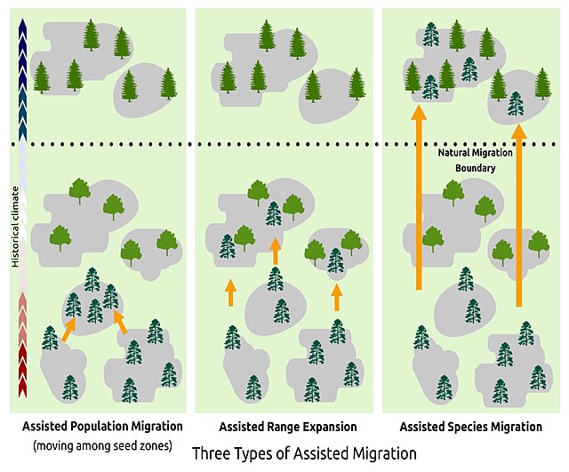 Three types of assisted migration. Source: Climate Hubs, U.S. Department of Agriculture.