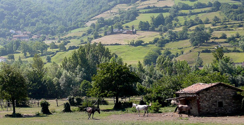 File:Asturias-caballos.jpg