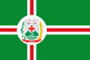 Bandeira de Paramirim - BA.svg