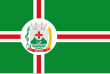 Vlag van Paramirim