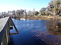 2015 - Water lowered to control coontail moss