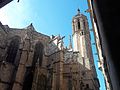 Barcelona cathedral (Catedral de Barcelona)