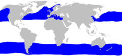 Basking shark distribution.png