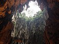 Batu Caves stalactite 01.jpg