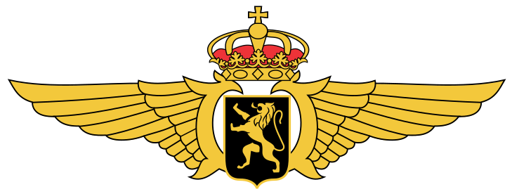 Belgian Air Component wings.svg