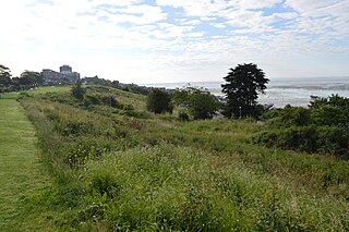 <span class="mw-page-title-main">Belton Hills</span> Nature reserve in Essex, England