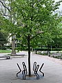 wikimedia_commons=File:Bicycle Rack in Park Komenského East, Košice, SK.jpg