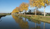 Bij Elst in de herfst