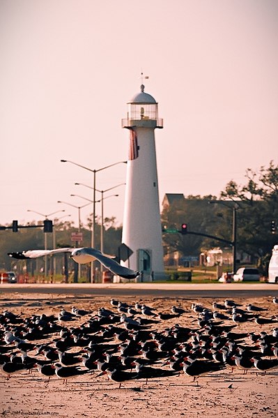 File:Biloxi lighthouse (3819761874).jpg