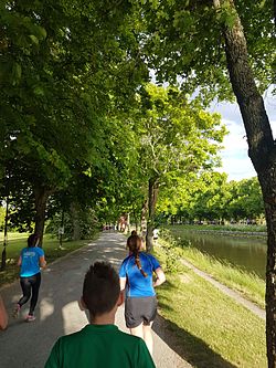 Tre daltagare i Blodomloppet joggar på en stig längs med Djurgårdskanalen.