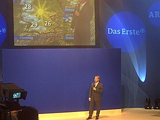 <span class="mw-page-title-main">Weather presenter</span> Person who presents the weather forecast on television