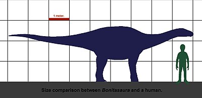 Bonitasaura-human size.jpg