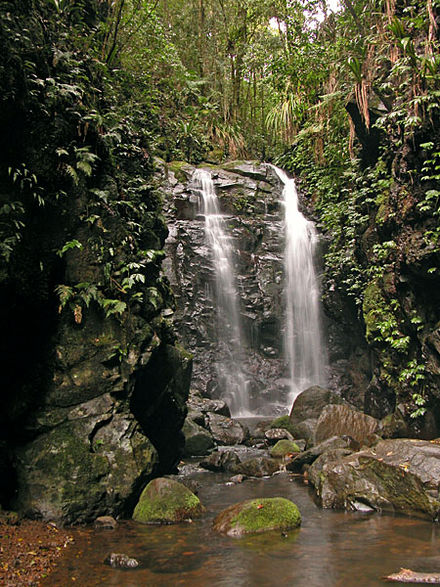 Box Falls at Lamington National Park in Queensland