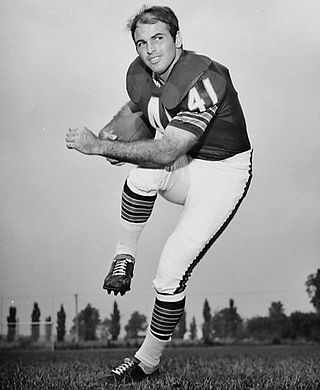 <span class="mw-page-title-main">Brian Piccolo</span> American football player (1943–1970)