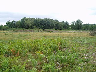 <span class="mw-page-title-main">Bryant's Heath, Felmingham</span> Site of Special Scientific Interest near North Walsham in Norfolk