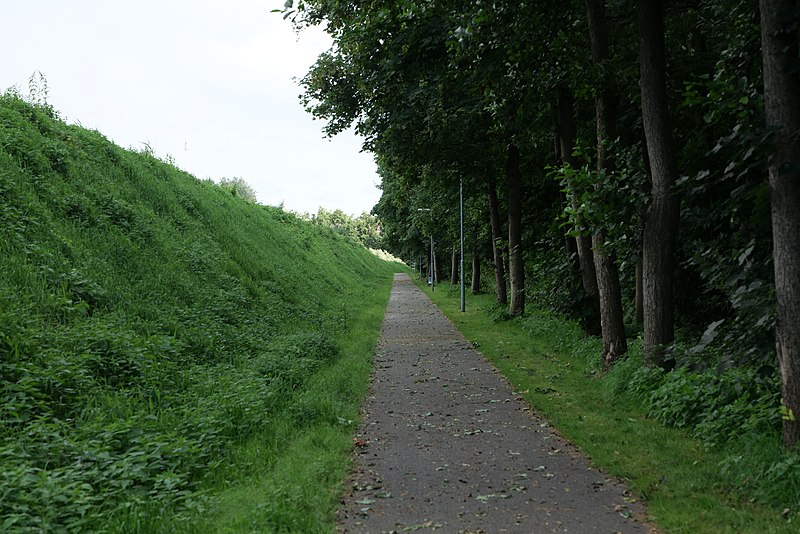 File:Bunsbüttel near Justus-von-Liebig-Straße 2021-07-29 06.jpg