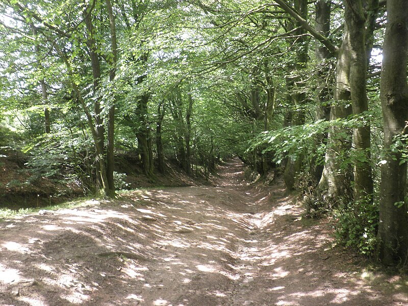 File:Byway on the Quantocks Ridge - geograph.org.uk - 4056234.jpg