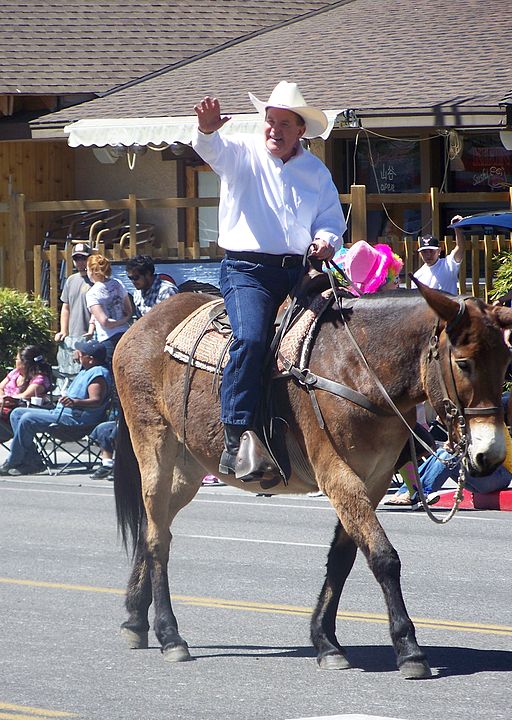 CA State Senator Roy Ashburn