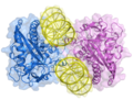 Thumbnail for Cyclic GMP-AMP synthase