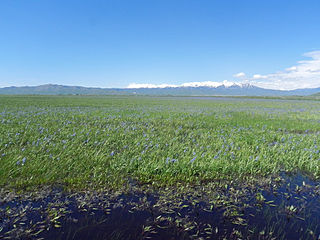 <span class="mw-page-title-main">Boardman Peak</span> Mountain in the state of Idaho