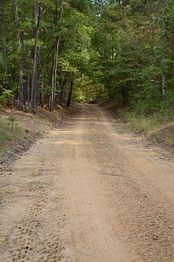 Camden'den Washington Road-Rosston Segment.jpg'ye