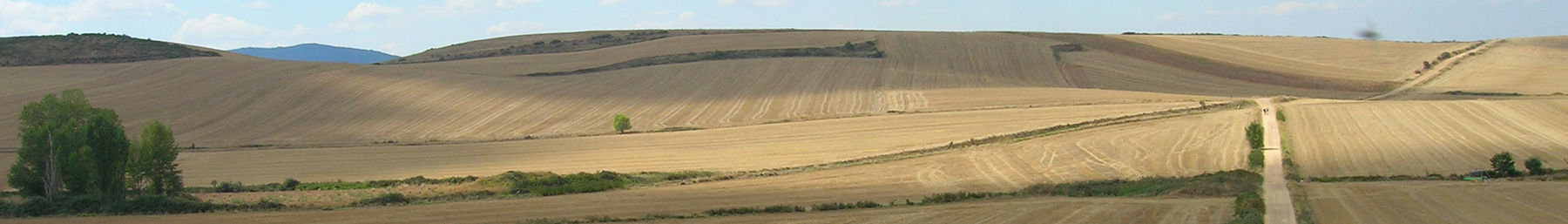 Camino de Santiago banner.jpg