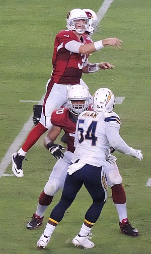 Carson Palmer